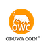 Coin Icon