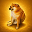 Coin Icon