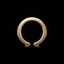 Coin Icon