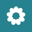 Coin Icon