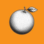 Coin Icon