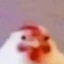 HEN