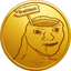 Coin Icon
