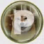 Coin Icon