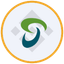 Coin Icon