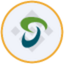 Coin Icon