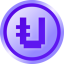 Coin Icon