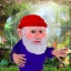 gnomed