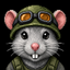 Coin Icon
