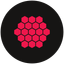 Coin Icon