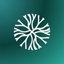 Coin Icon