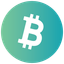 Coin Icon