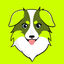 Coin Icon