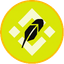 Coin Icon
