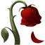 Coin Icon