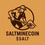 Coin Icon