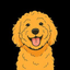 Coin Icon