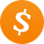 Coin Icon