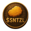 Coin Icon