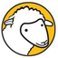 Coin Icon