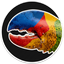 Coin Icon