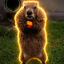 Coin Icon