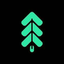 Coin Icon