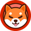 Coin Icon
