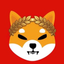 Coin Icon