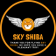 sky-shiba