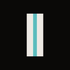 Coin Icon