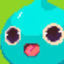 Coin Icon