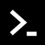 Coin Icon