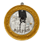 Coin Icon