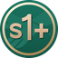 Coin Icon