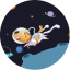 starchaindoge