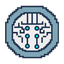 Coin Icon