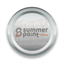 Coin Icon