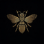 Coin Icon