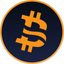 Coin Icon