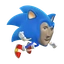 SONK