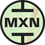 Coin Icon