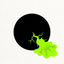 Coin Icon