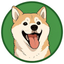 Coin Icon
