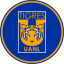 TIGRES