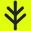 Coin Icon