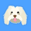 Coin Icon