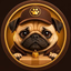 Coin Icon