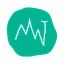 Coin Icon
