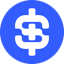 Coin Icon